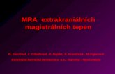 MRA  extrakraniálních magistrálních tepen