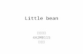 Little bean