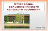 Отчет главы  Большекочинского  сельского поселения