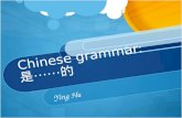 Chinese grammar:  是 ⋯⋯ 的
