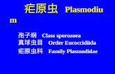 疟原虫  Plasmodium