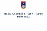 Open Shortest Path First Protocol