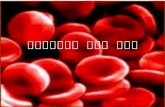 תאי הדם האדומים