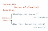 Chapter Five         Rates of Chemical Reaction