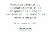 Monitoramento do desmatamento e da responsabilização ambiental na Amazônia