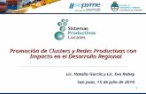 Promoción de Clusters y Redes Productivas con Impacto en el Desarrollo Regional