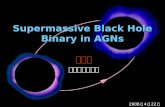 Supermassive Black Hole Binary in AGNs