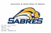 Association du Hockey Mineur de Roberval