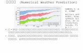 数値予報  ( Numerical Weather Prediction)