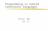 Programming in hybrid constraint languages