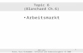 Topic 6 (Blanchard Ch.6)