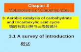 Chapter 3  Metabolisms of Carbohydrates