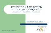 ETUDE DE LA REACTION POUZZOLANIQUE BOUBET M.PERSIANI C.SERANNE F.