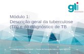 Módulo 1:   Descrição  geral da  tuberculose ( TB)  e  do diagnóstico de TB