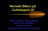 Wermdö Bikers på  Gubbängens IP