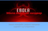 Эбола вирусын халдвар