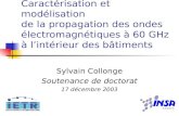 Sylvain Collonge Soutenance de doctorat 17 décembre 2003