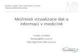 M ožnosti vizualizace dat a informací v medicíně