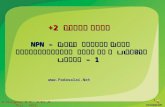 +2 இயற்பியல் NPN – பொது உமிழ்ப் பான் டிரான்சிஸ்டர் சிறப்பு வரைகள் பகுதி