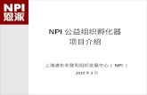 NPI 公益组织孵化器 项目介绍