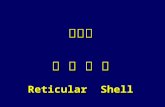 第三章 网 壳  结 构 Reticular  Shell