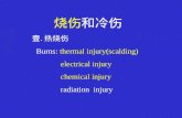 烧伤 和冷伤 热烧伤 Burns:  thermal injury(scalding) electrical injury               chemical injury
