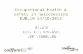 Occupational health  &  safety  in  hairdressing DUBLIN 24/10/2013