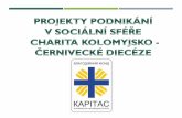 Projekty podnikání v  sociální  sféře Charita Kolomyjsko - Černivecké diecéze