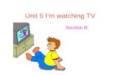 Unit 5 I’m watching TV