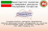 Министерство энергетики Республики Татарстан