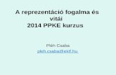 A  reprezentáció fogalma és vitái 2014 PPKE kurzus