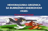HEMORAGIJSKA GROZNICA SA BUBREŽNIM  SINDROMOM -HGBS-