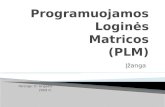 Programuojamos Logi nės Matricos (PLM)