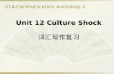 Unit 12 Culture Shock 词汇写作复习