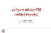 çalışan güvenliği (şiddet boyutu) dr.  osman öztürk ( türk  tabipleri birliği)