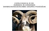 COPA/COGECA  ir  EK  avienos ir  o žkienos  darbo/konsultacinės grupės posėdžiai