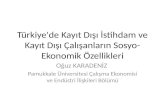 Türkiye'de Kayıt Dışı İstihdam ve Kayıt Dışı Çalışanların  Sosyo -Ekonomik Özellikleri