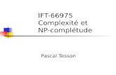 IFT-66975 Complexité et  NP-complétude