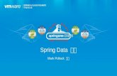 Spring Data  简介