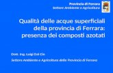 Qualità delle acque superficiali della provincia di Ferrara: presenza dei composti azotati