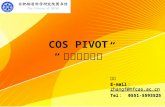 COS PIVOT  “连结学术赞助”