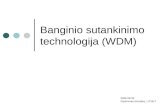 Banginio sutankinimo technologija  (WDM)