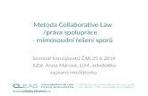 Metoda  Collaborative Law /práva spolupráce    - mimosoudní řešení sporů