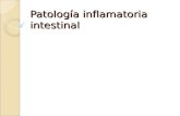 Patología inflamatoria intestinal