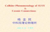 Collider Phenomenology of SUSY Cosmic Connections