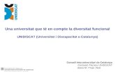 Consell Interuniversitari de Catalunya Comissió Tècnica UNIDISCAT Jesús M. Prujà i Noè