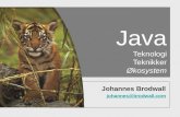 Java Teknologi Teknikker Økosystem
