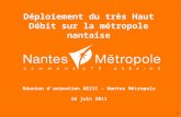 Réunion d’animation AEZIC – Nantes Métropole 16 juin 2011