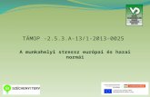 TÁMOP -2.5.3.A-13/1-2013-0025 A munkahelyi stressz európai és hazai normái