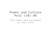 Power and Culture Poli 110J 08